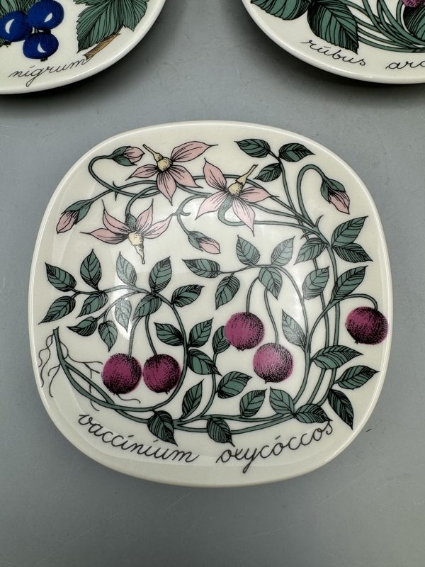 Arabia seinälautanen (3 kpl), Esteri Tomula