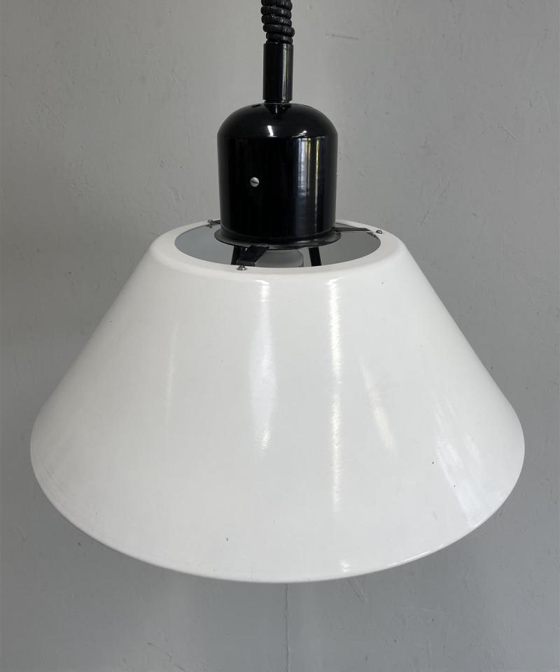 Kattovalaisin riippuvalaisin