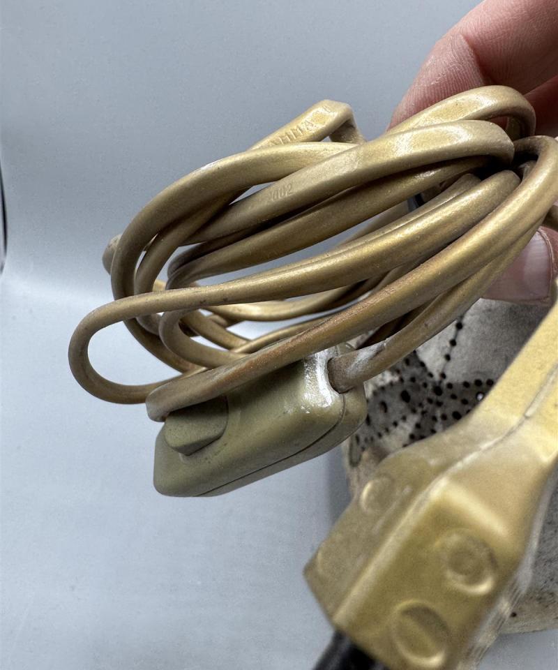 Kookos riippuvalaisin, palmukuvio