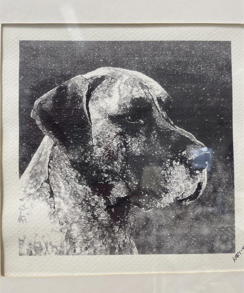 Taulu ”Koira” vedos, Kari -92