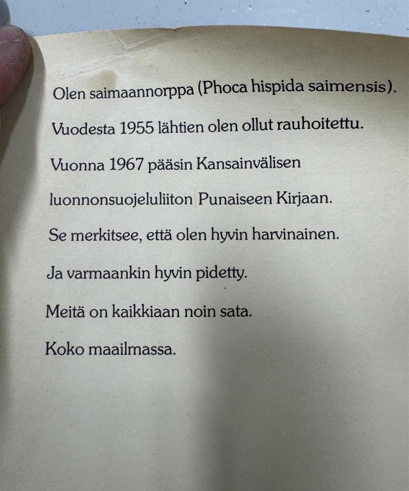 Erik Bruun juliste saimaannorppa