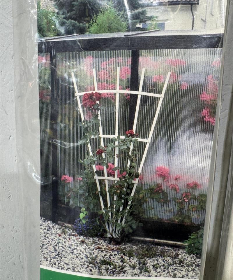 Kasvi viuhka Espalier