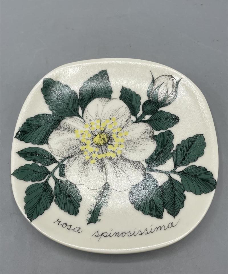 Arabia Botanica seinälautaset 8-osaa, Esteri Tomula