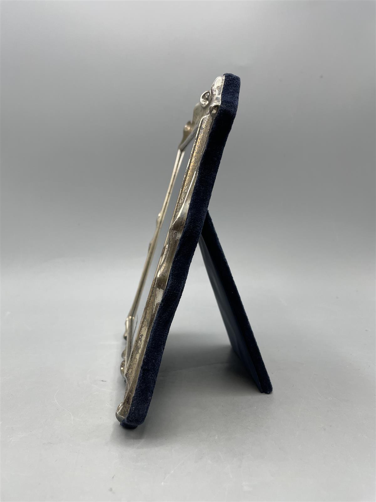 Sterling Hopea valokuvakehys