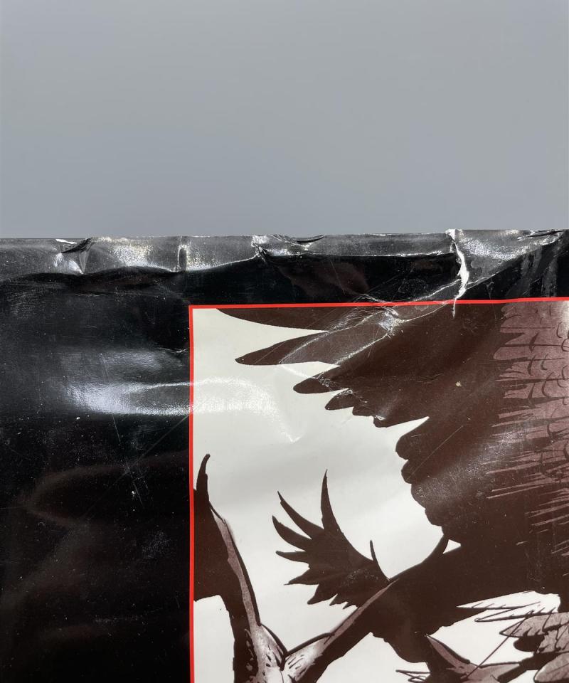 Ronkoteus - Lentävä kirvesmies, Arto Paasilinna sarjakuva