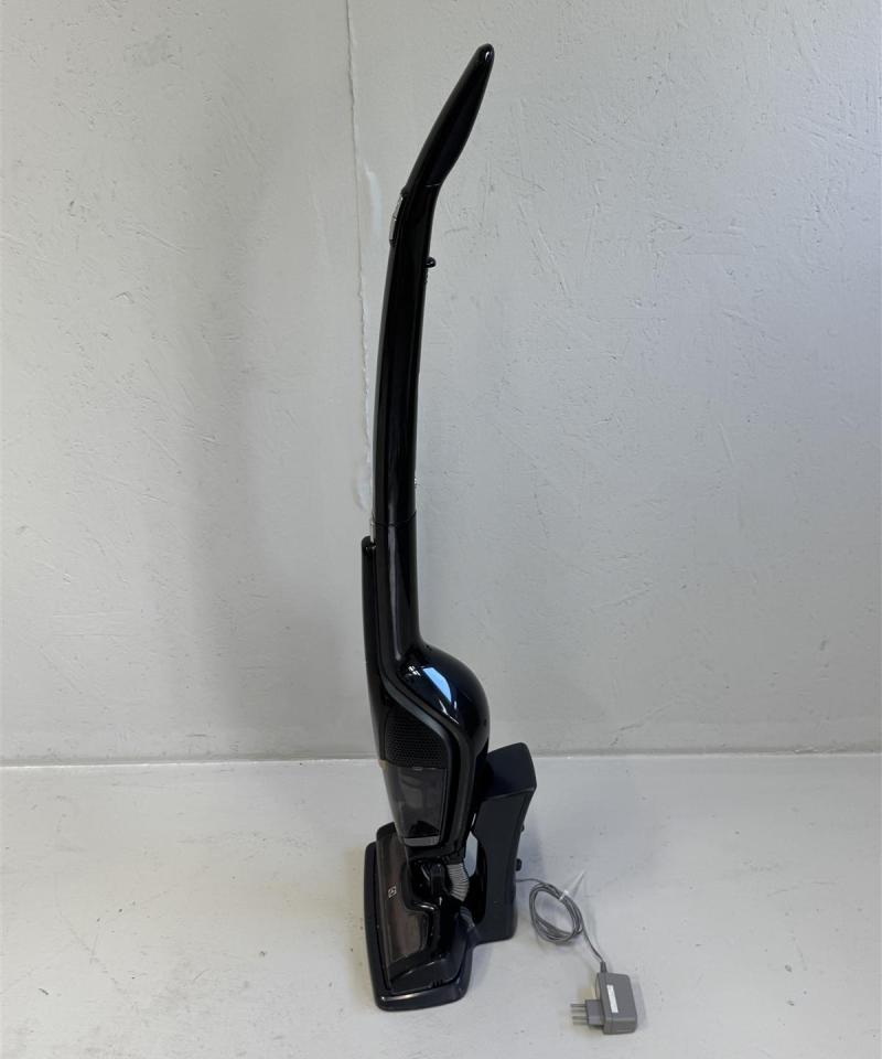 Electrolux Ergorapido varsi-imuri