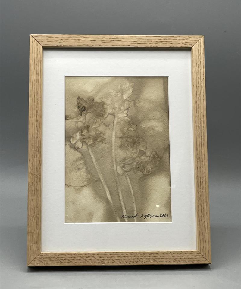 Ekoprint ”Kuihtuvaa kauneutta” sisustustaulu, Maarit Myllynen