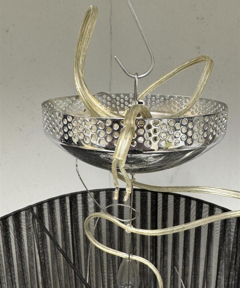 Willemse kattokruunu