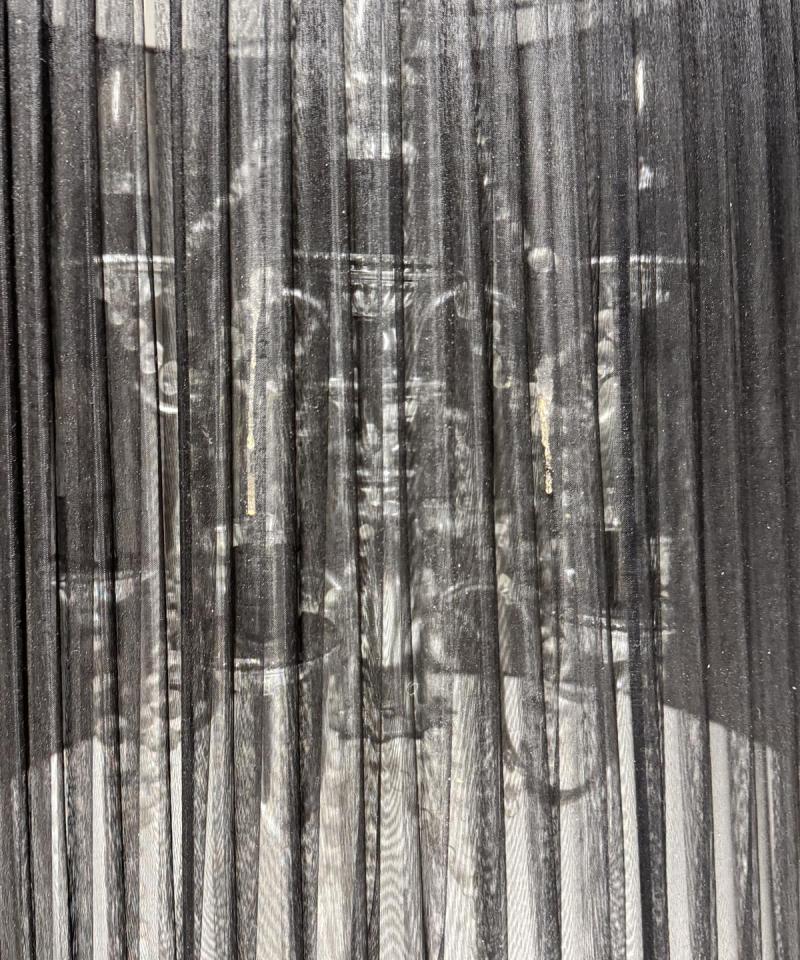 Willemse kattokruunu