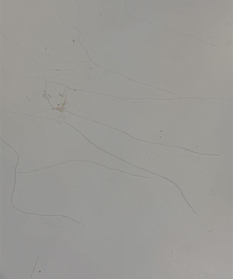 Talonpoikaisrokokoo ruokapöytä 120cm jatkettava