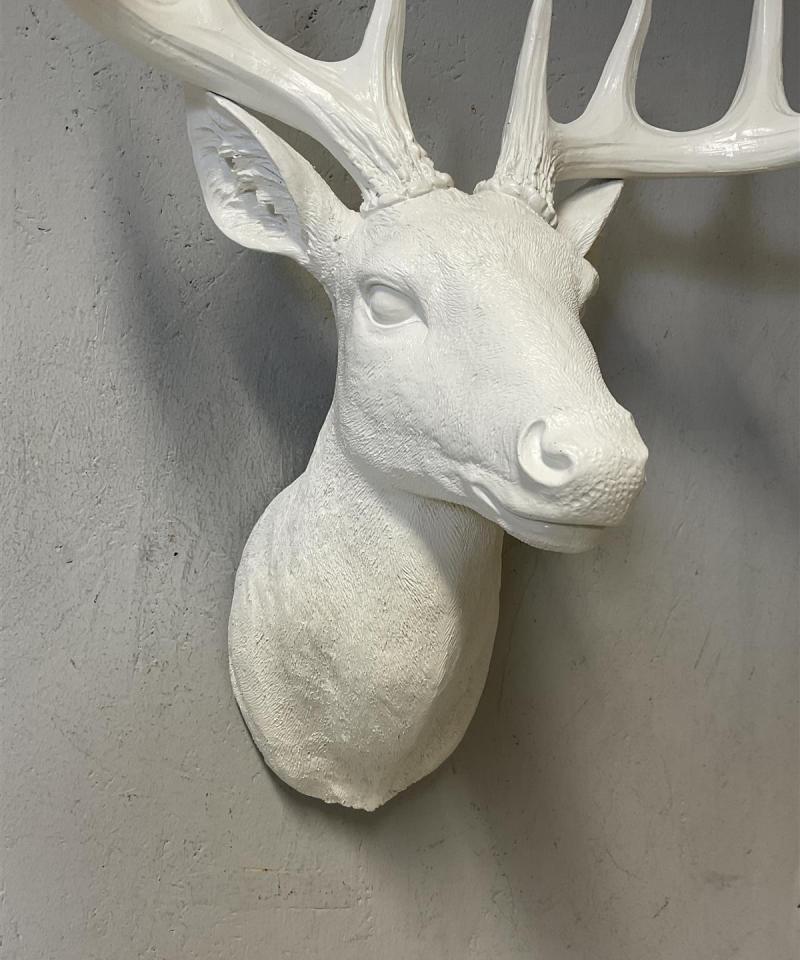 Seinälle kiinnitettävä peuranpää, valkoinen