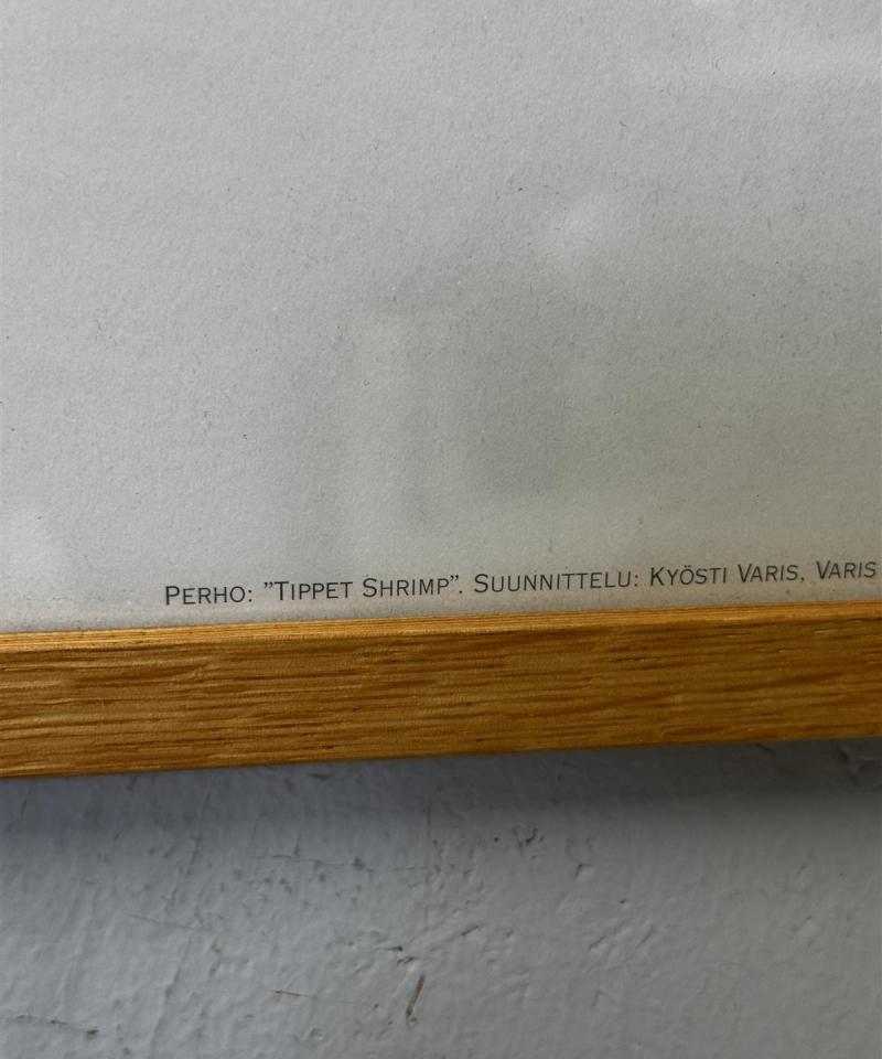 Taulu Tippet Shrimp valokuva kehyksissä