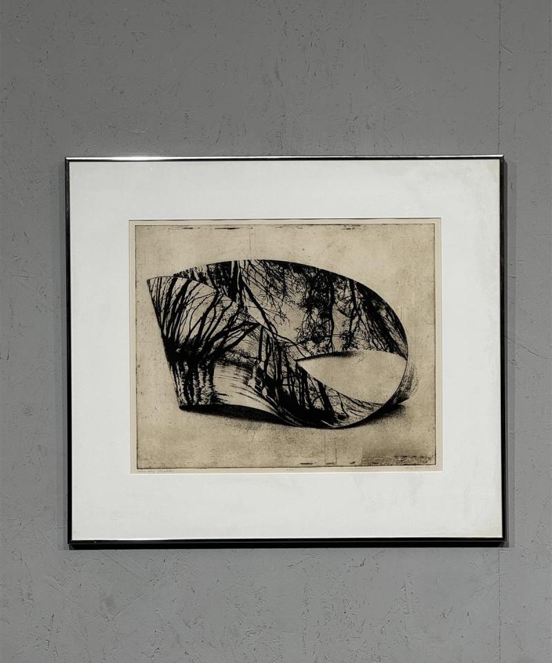 Taulu akvatinta tunnistamaton -84