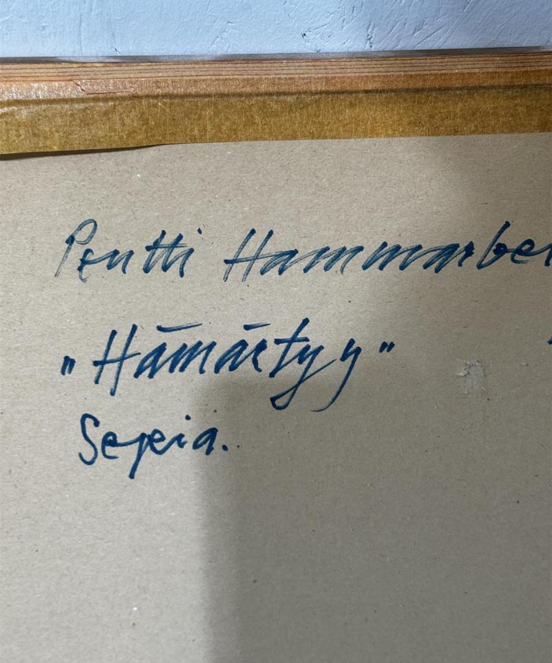 Taulu Hämärtyy piirros Pentti Hammarberg