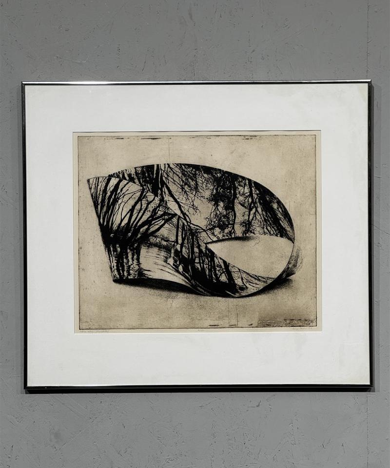 Taulu akvatinta tunnistamaton -84