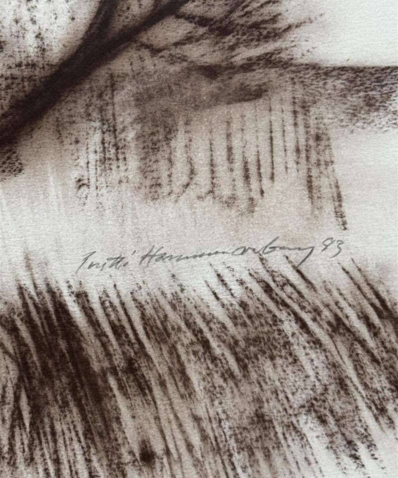 Taulu Hämärtyy piirros Pentti Hammarberg