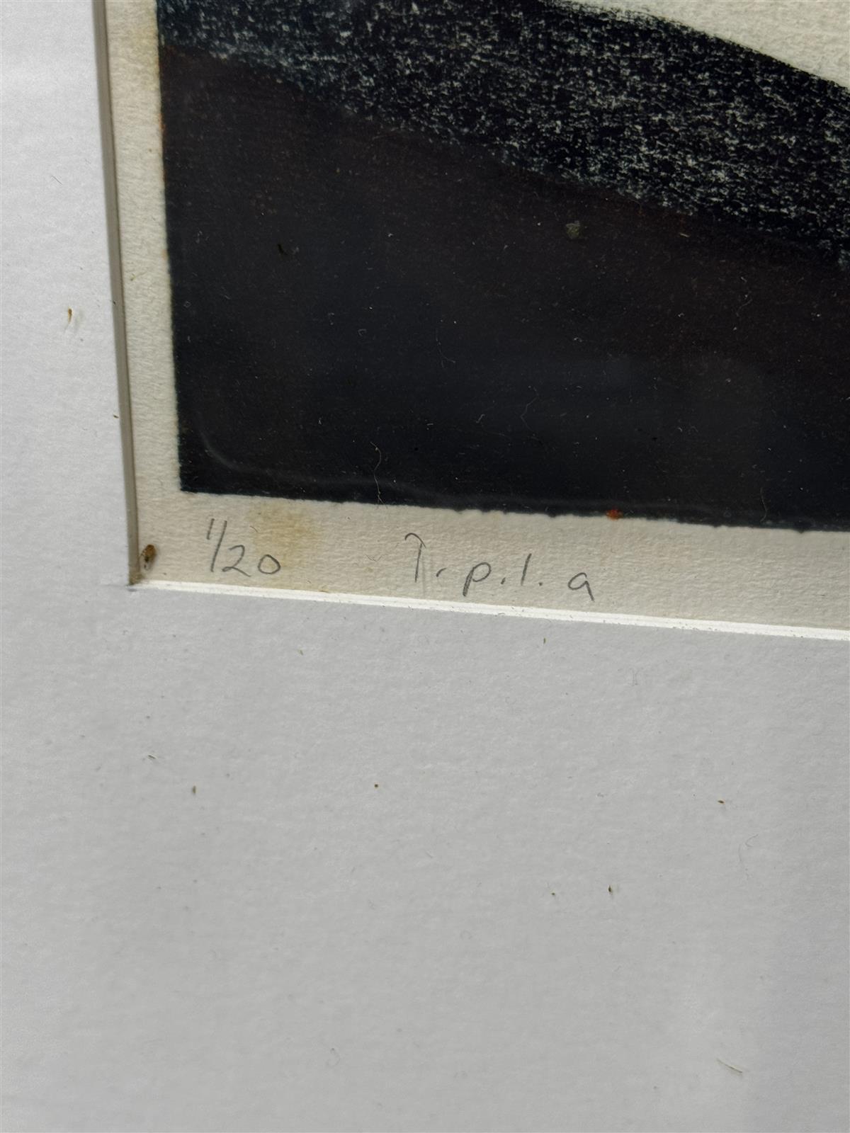 Taulu vedos 1/20 Päivikki Kallio -88