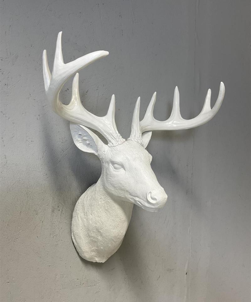 Seinälle kiinnitettävä peuranpää, valkoinen