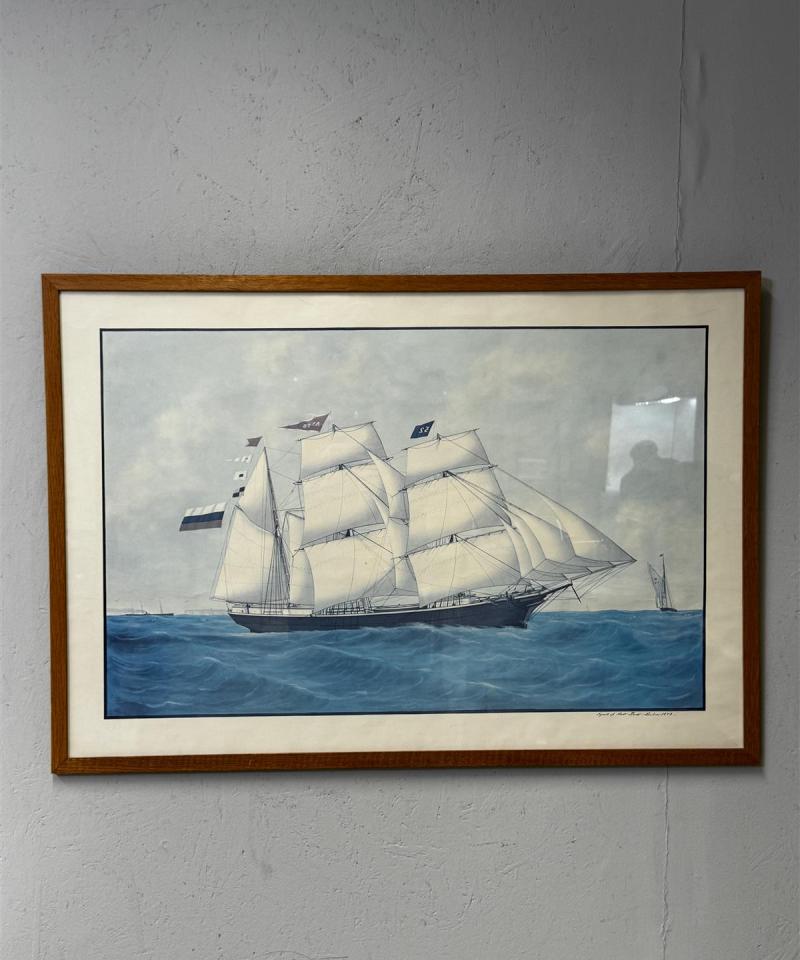 Vedos meriaiheinen litografia