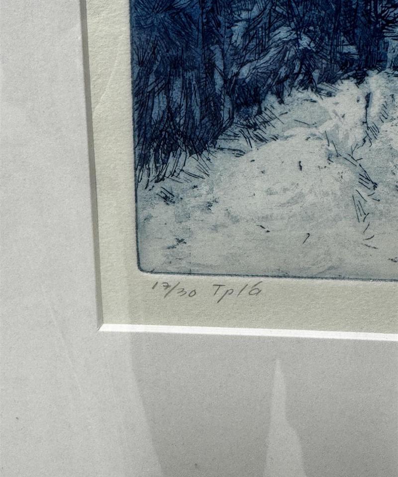 Taulu etsaus akvatinta Nummela Näkymä Albertin talolle Ilma Ylirotu