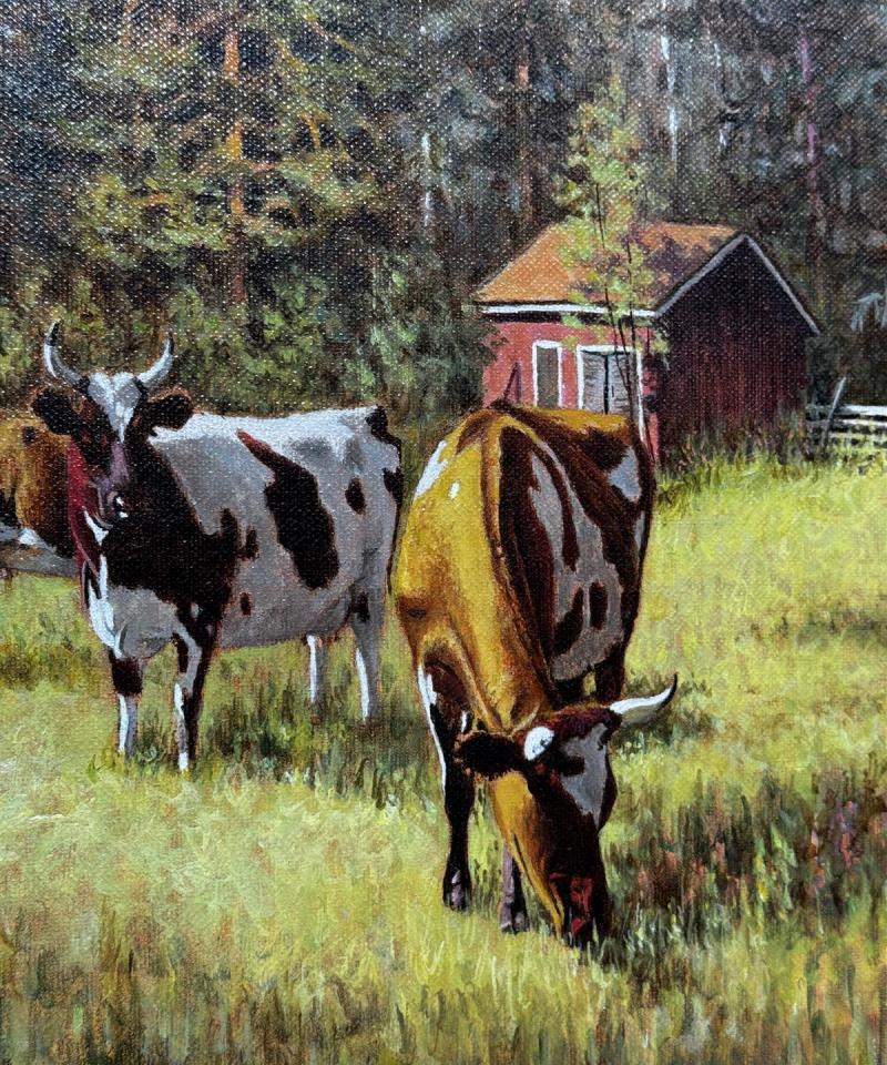 Taulu öljyvärimaalaus lehmät laitumella Taina Harsia -05