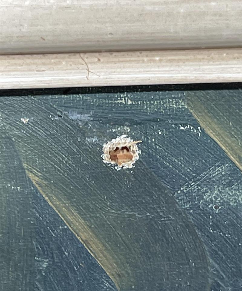 Taulu maisemamaalaus öljyväri, Seppälä