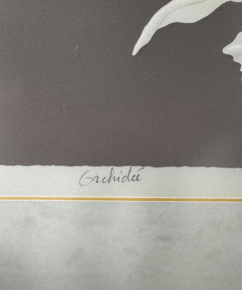 Taulu Orchidée vedos Michel Dumontet