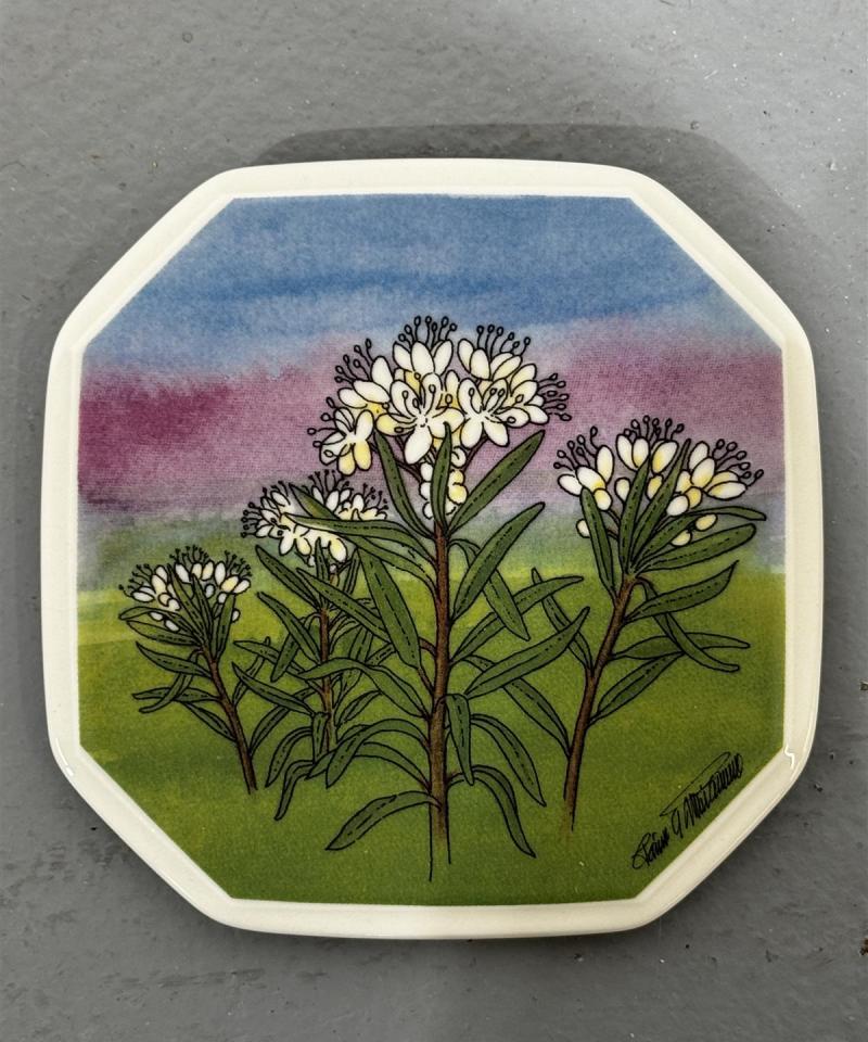 Arabia Suopursu seinälautanen