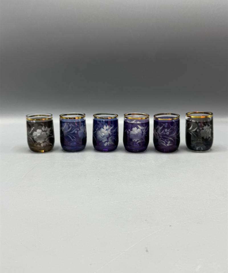 Värilliset snapsilasit (6 kpl)