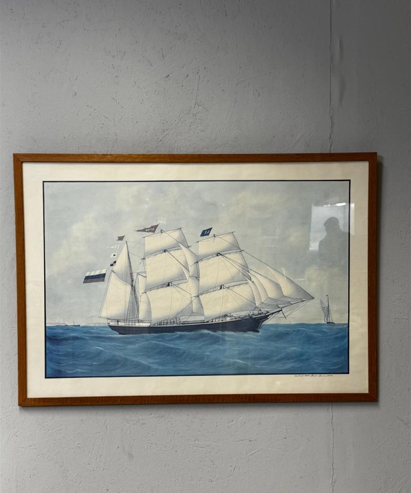 Vedos meriaiheinen litografia