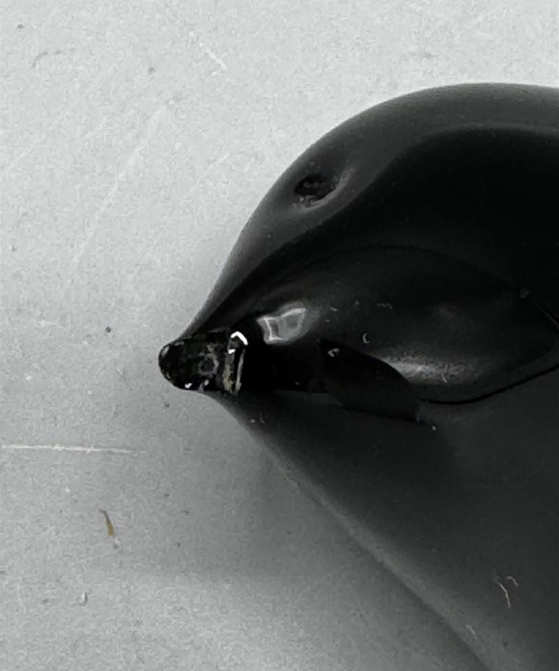 Nuutajärvi Jaakko Niemi lasilintu musta