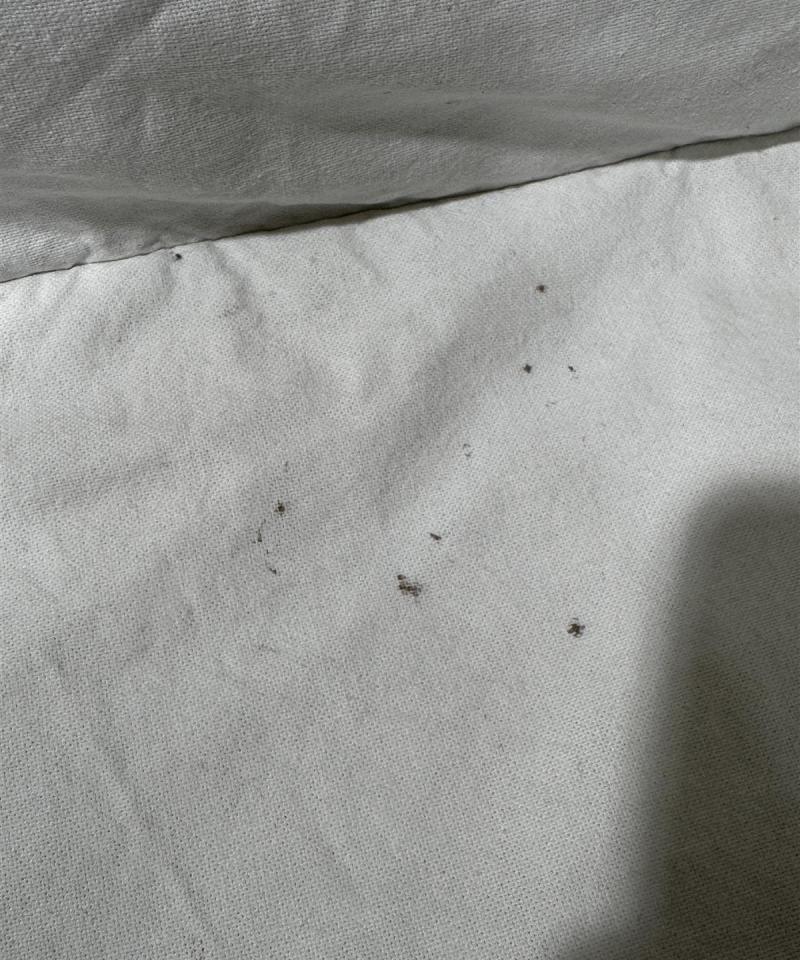 Ikea Lycksele vuodesohva valkoinen