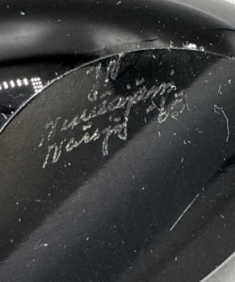 Nuutajärvi Jaakko Niemi lasilintu musta