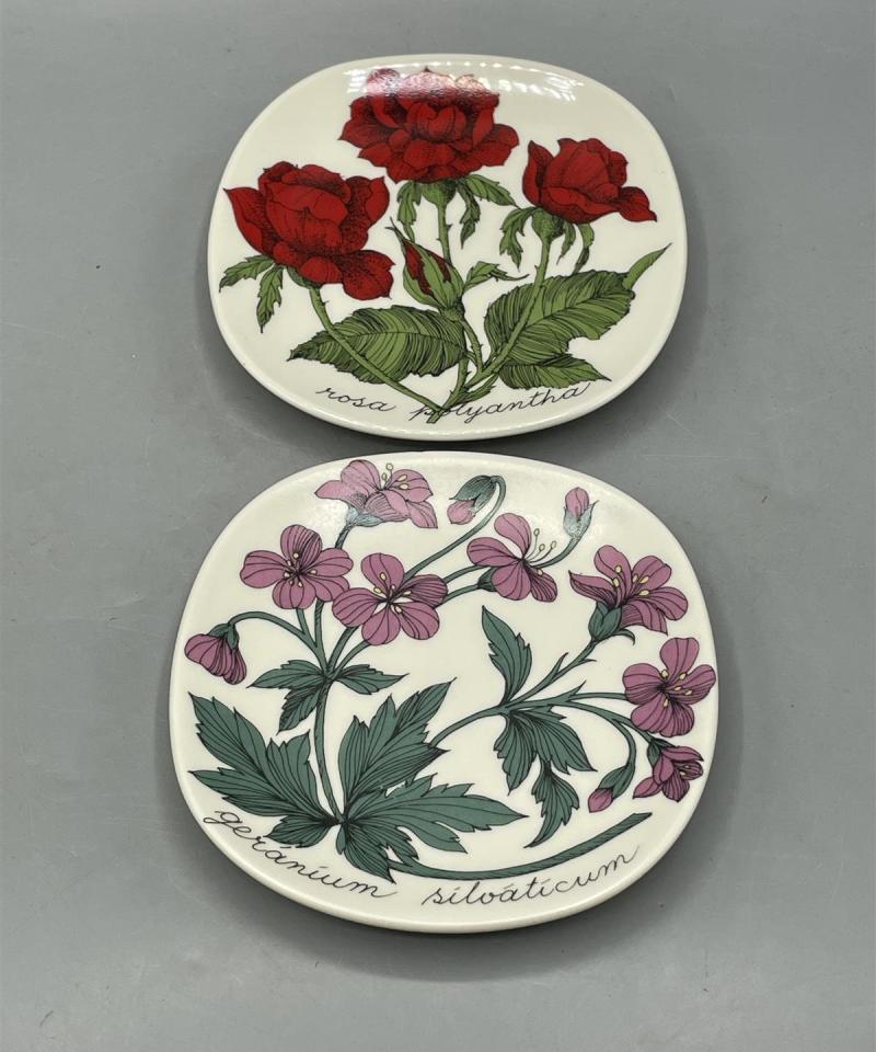 Arabia Botanica seinälautaset 2kpl, Esteri Tomula