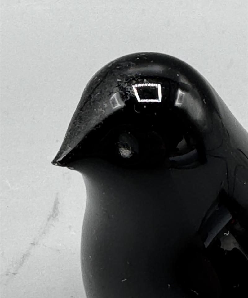 Nuutajärvi Jaakko Niemi lasilintu musta