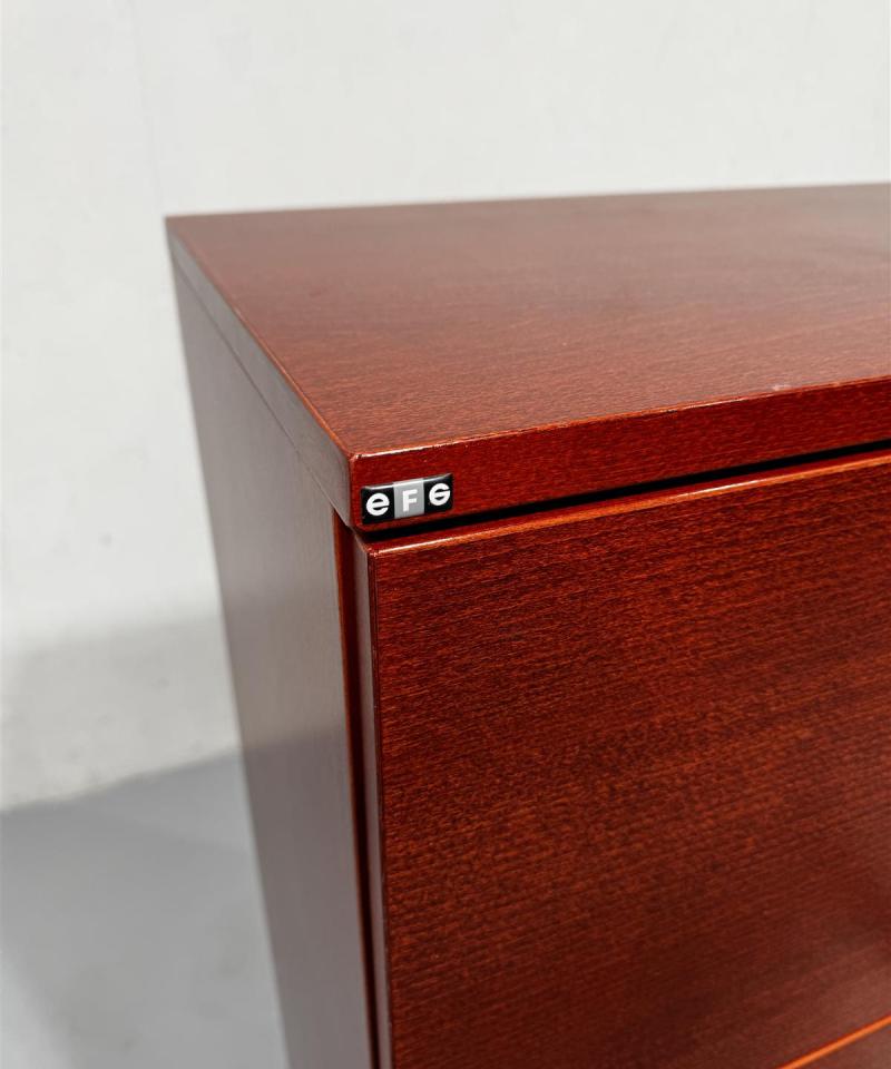 EFG ruskea arkistolipasto