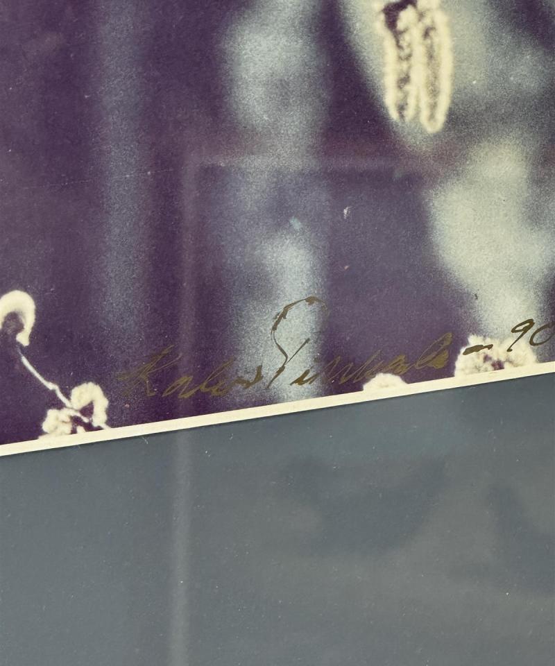 Valokuvateos oksat signeerattu -90