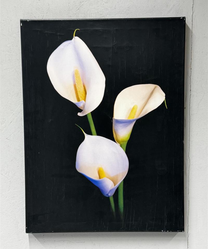 Isku Orkidea kanvaasi 60x80 sisustus taulu