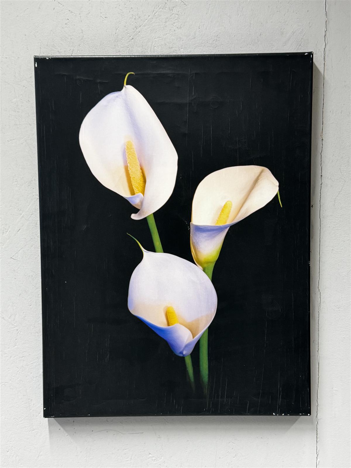 Isku Orkidea kanvaasi 60x80 sisustus taulu