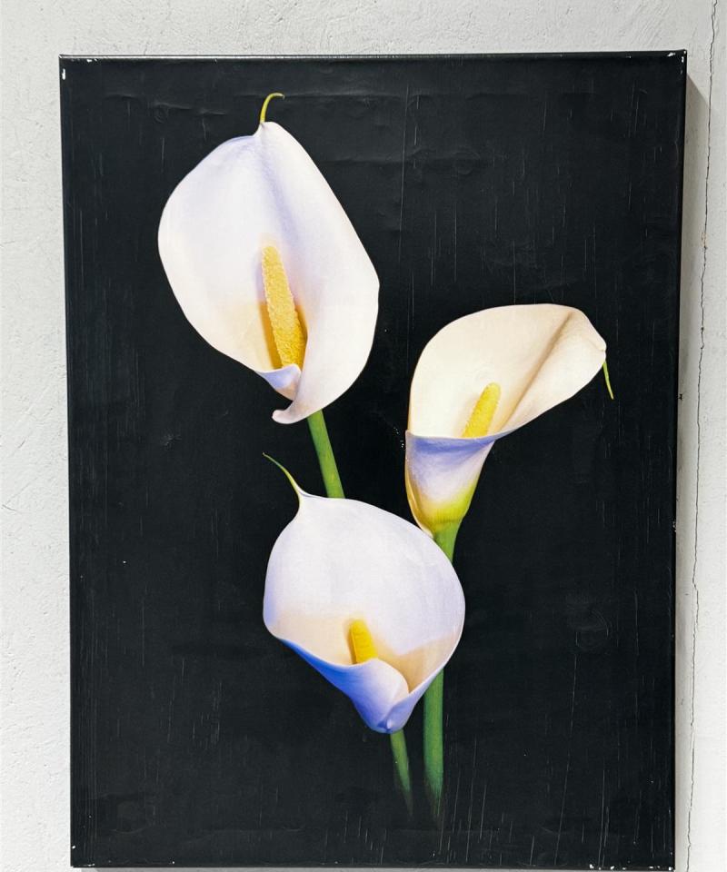 Isku Orkidea kanvaasi 60x80 sisustus taulu