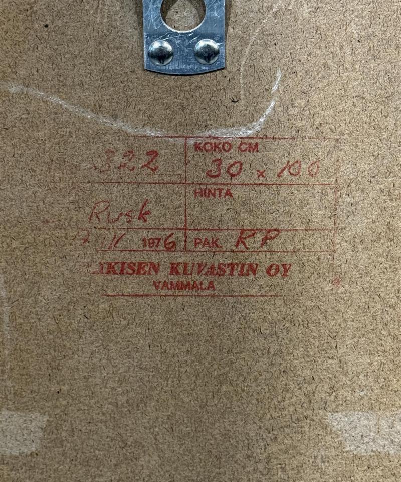 Retro peili 30x100cm