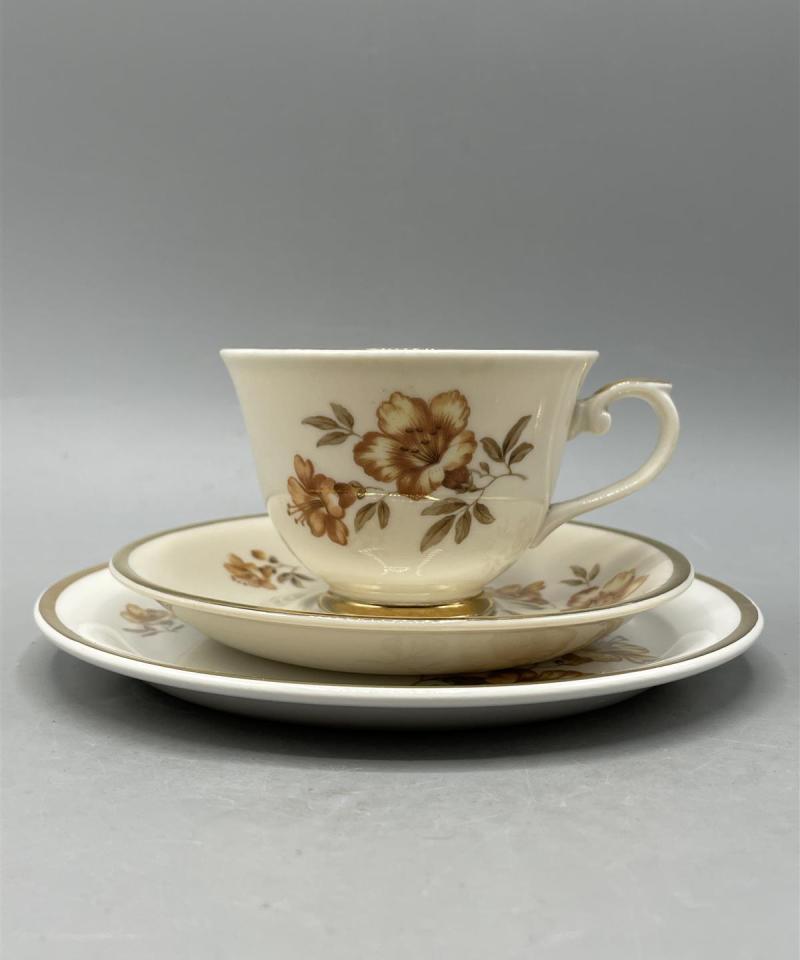 Arabia Myrna kahviastiat 23-osaa, Olga Osol