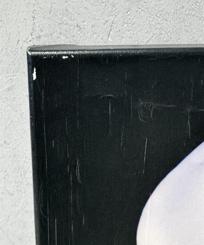 Isku Orkidea kanvaasi 60x80 sisustus taulu