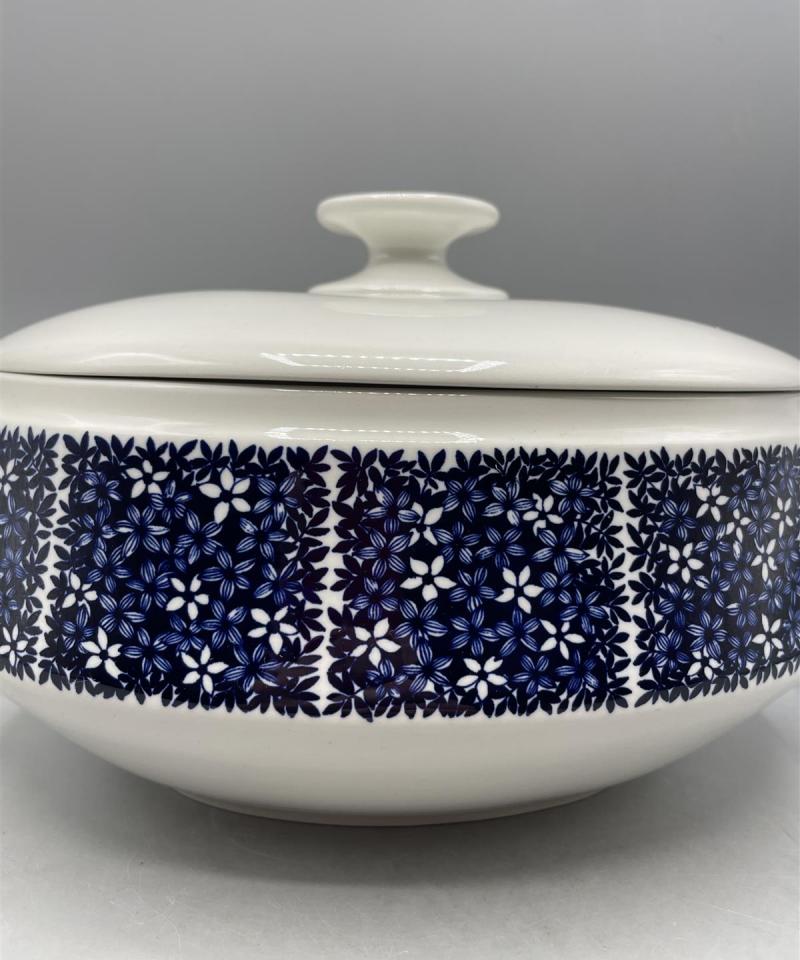 Arabia Pitsi Terrini, Raija Uosikkinen