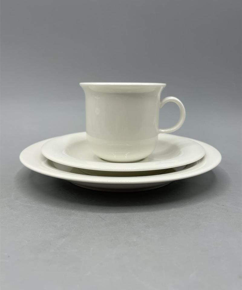 Arabia Arctica kahviastiat (30-osaa), Inkeri Leivo