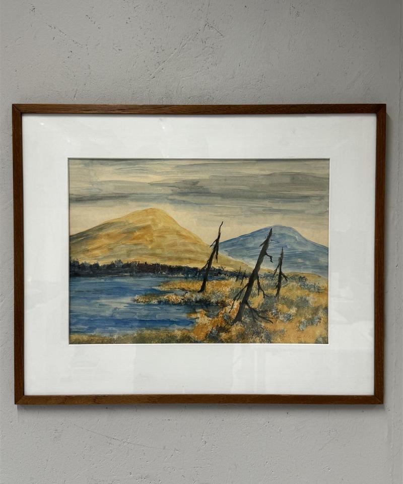 Taulu vesiväri Vehviläinen