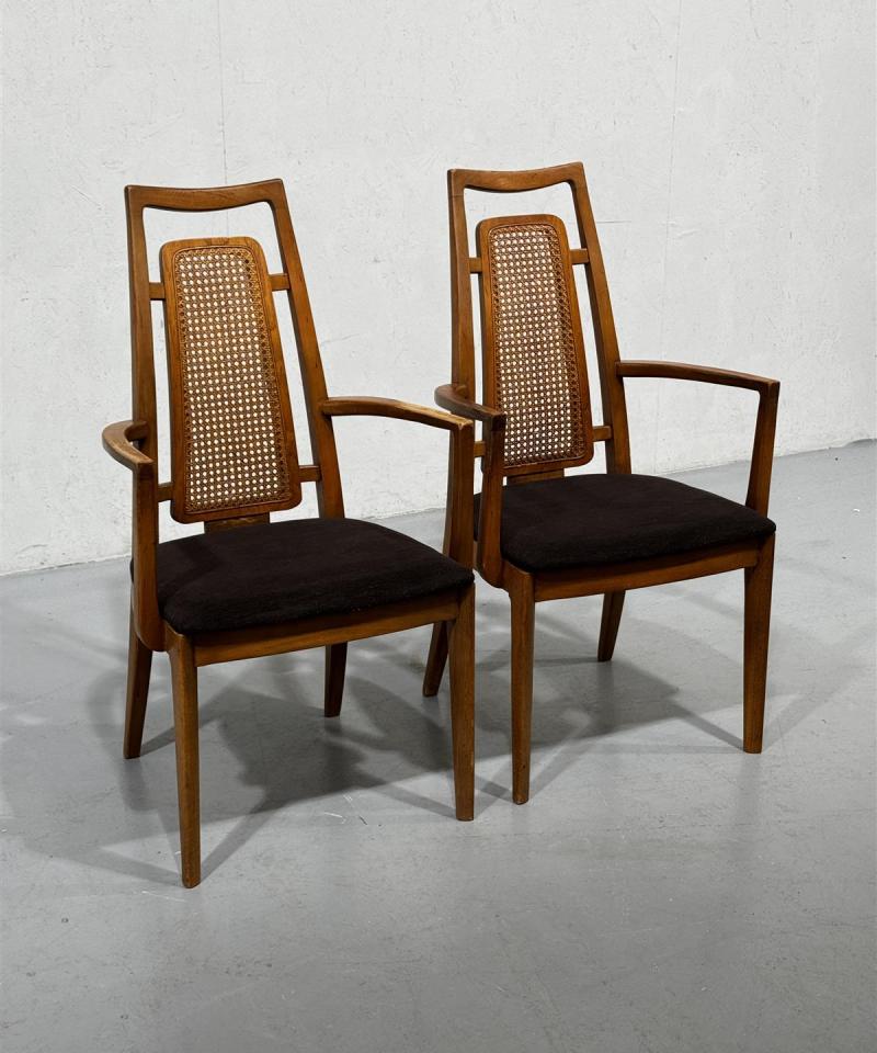 Drexel rottinkikoriste nojatuolit (2kpl)