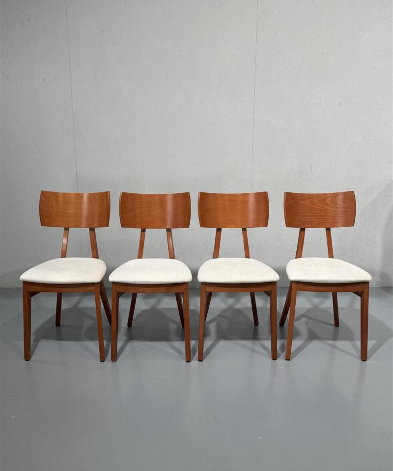 Calligaris ruokatuolit (4kpl)