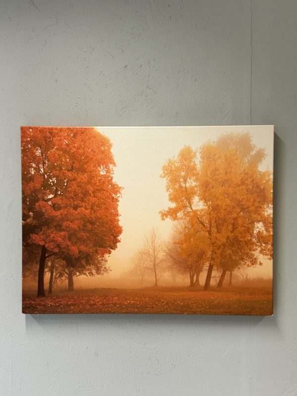 Isku Oranssi kanvaasi 60x80 sisustus taulu