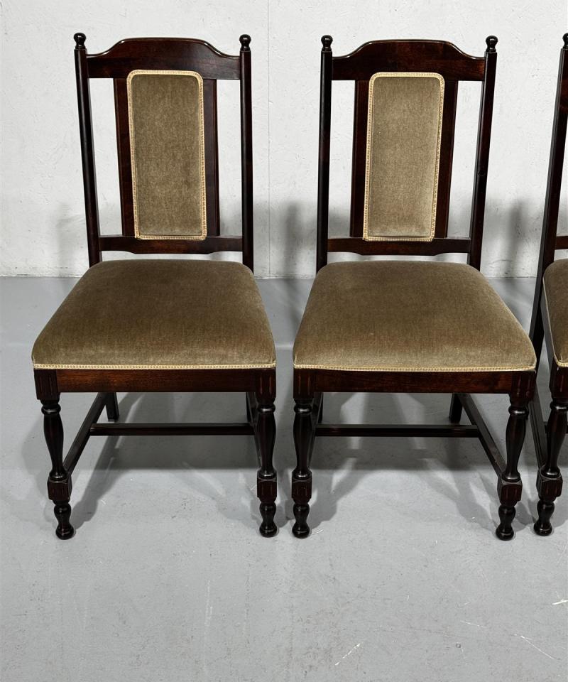 Klassiset tuolit (4kpl) sametti